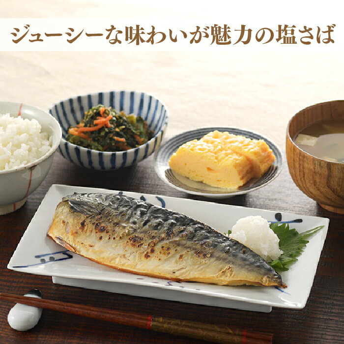 【ふるさと納税】塩さば（片身4枚） 鯖 サバ 低塩 肉厚 干物 おかず お弁当 .ZG172 サムネイル2