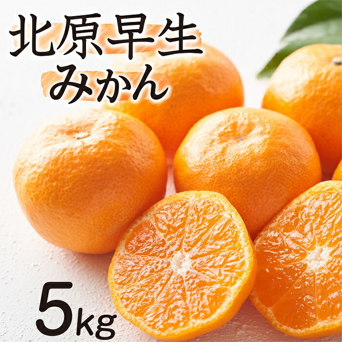 【予約受付・期間限定商品】北原早生みかん（5kg程度）.2026年10月〜11月配送.AA139
