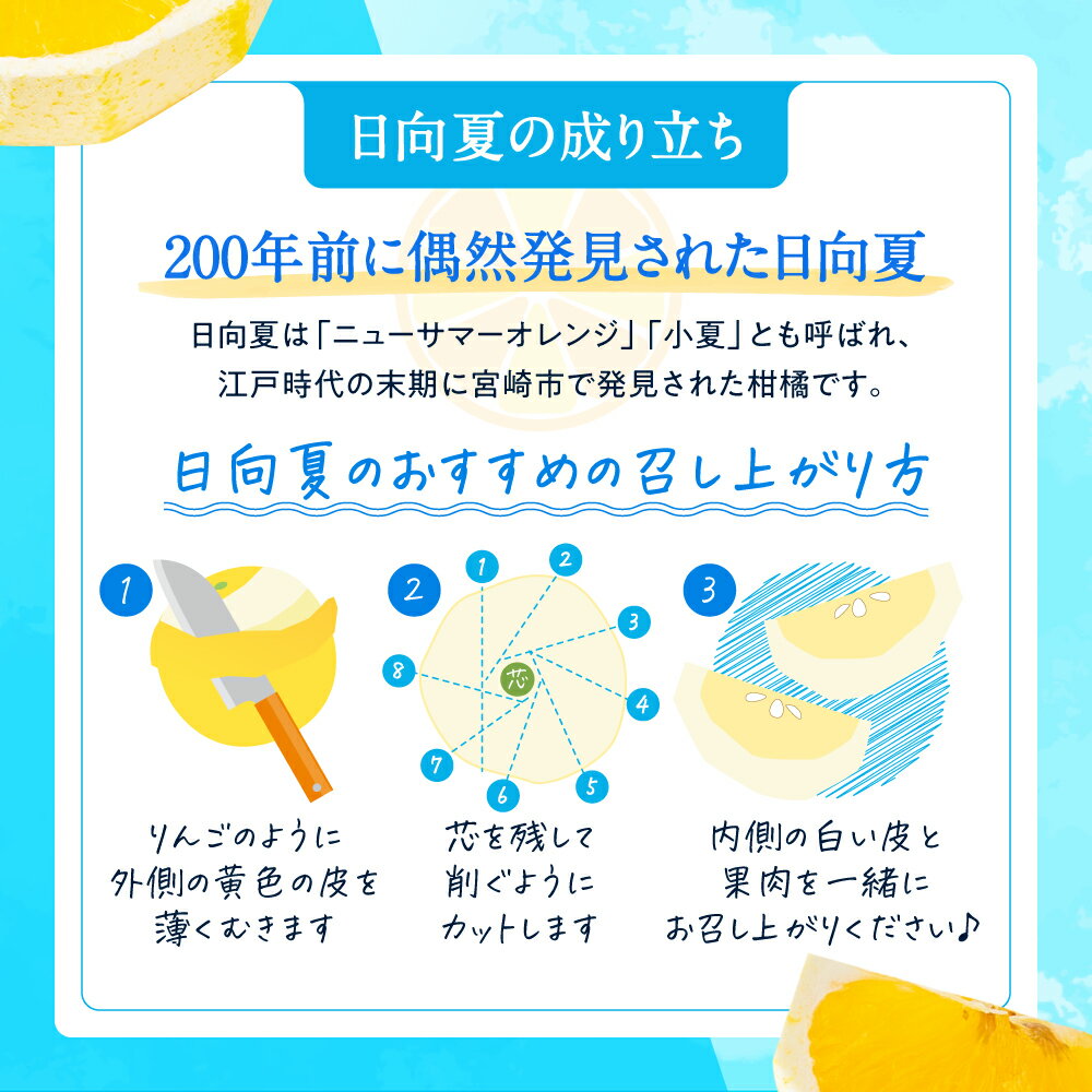 【ふるさと納税】いわくま果樹園の「日向夏」約4kg／2026年4月発送予定.AA098 サムネイル3