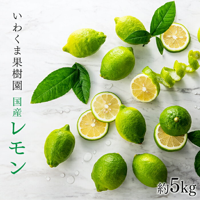 貴重な国産レモン.約5kg.新宮町産の逸品です／2025年9月〜2026年2月発送予定.AA079