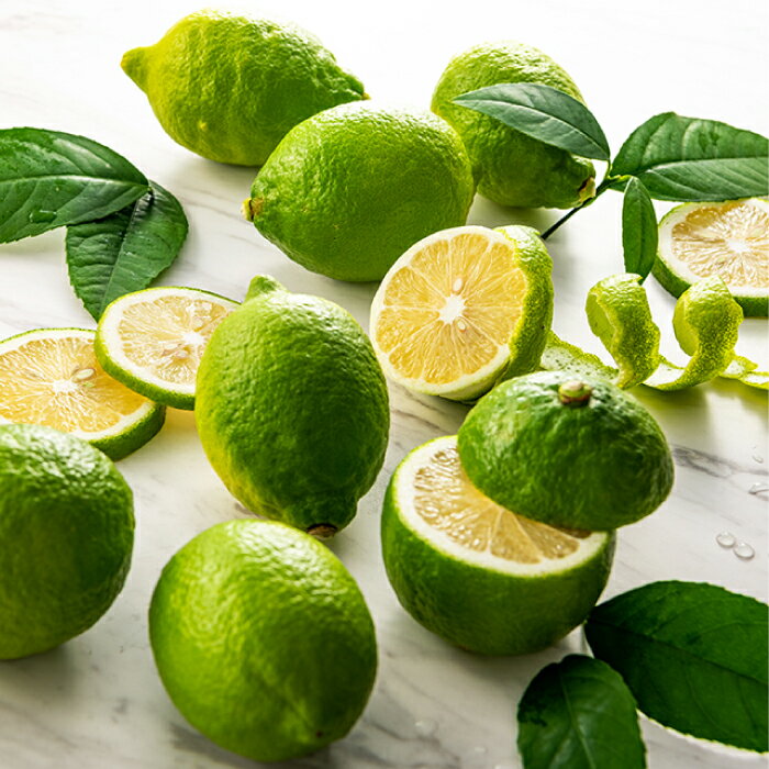 【ふるさと納税】貴重な国産レモン.約5kg.新宮町産の逸品です／2025年9月〜2026年2月発送予定.AA079 サムネイル2