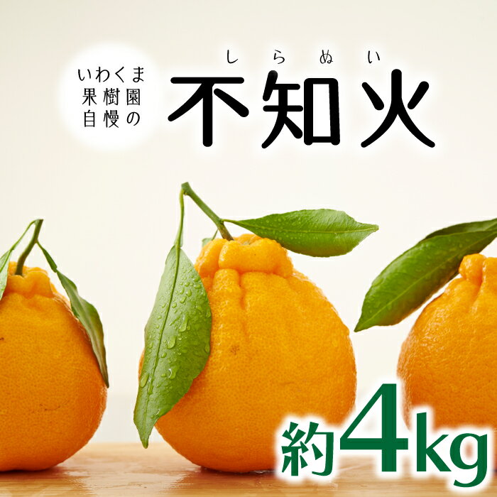 いわくま果樹園自慢の不知火／約4kg(2026年2〜3月発送予定).AA196