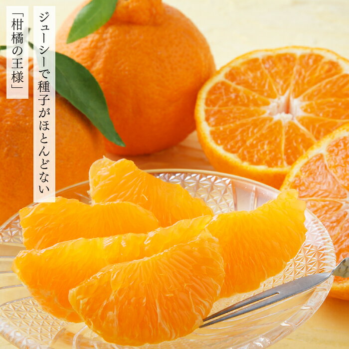 【ふるさと納税】いわくま果樹園自慢の不知火／約4kg(2026年2〜3月発送予定).AA196 サムネイル2