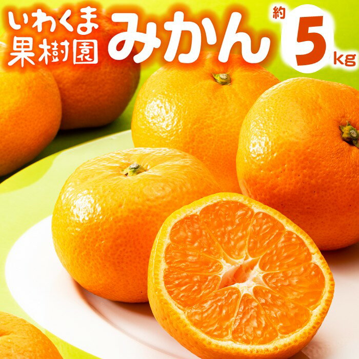 いわくま果樹園から直送品の温州みかん（約5kg）／2026年9月下旬〜2027年1月下旬発送予定★予約分★.AA216