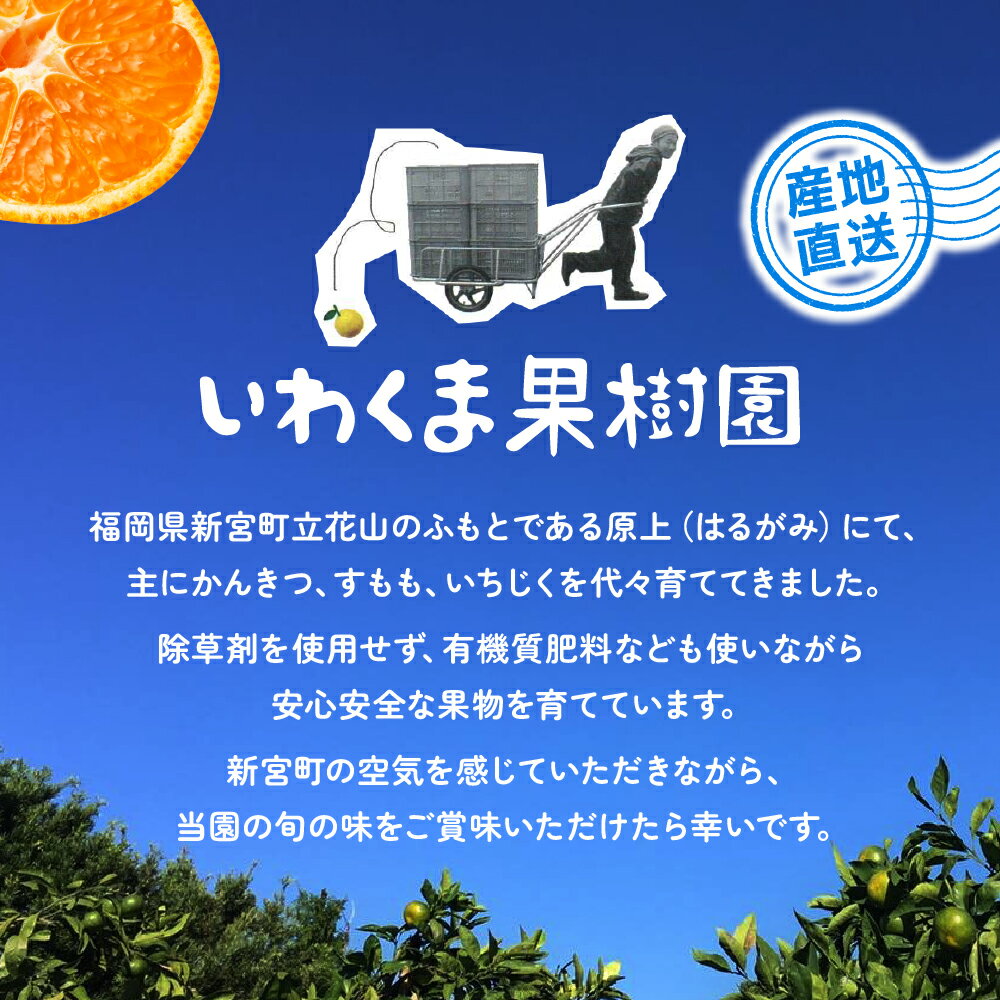 【ふるさと納税】いわくま果樹園から直送品の温州みかん（約5kg）／2026年9月下旬〜2027年1月下旬発送予定★予約分★.AA216 - 画像3