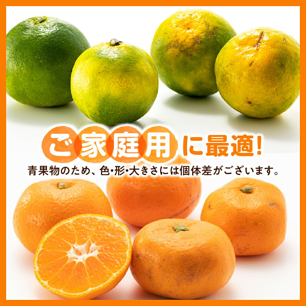【ふるさと納税】いわくま果樹園から直送品の温州みかん（約5kg）／2026年9月下旬〜2027年1月下旬発送予定★予約分★.AA216 - 画像2