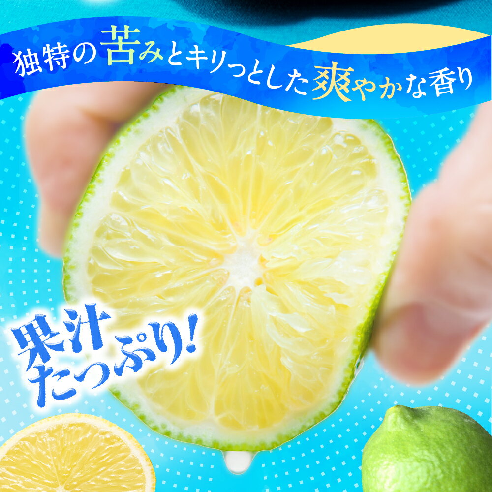 【ふるさと納税】貴重な国産ライム.約5kg.新宮町産の逸品です／2025年10月〜12月発送予定.AA206 サムネイル2