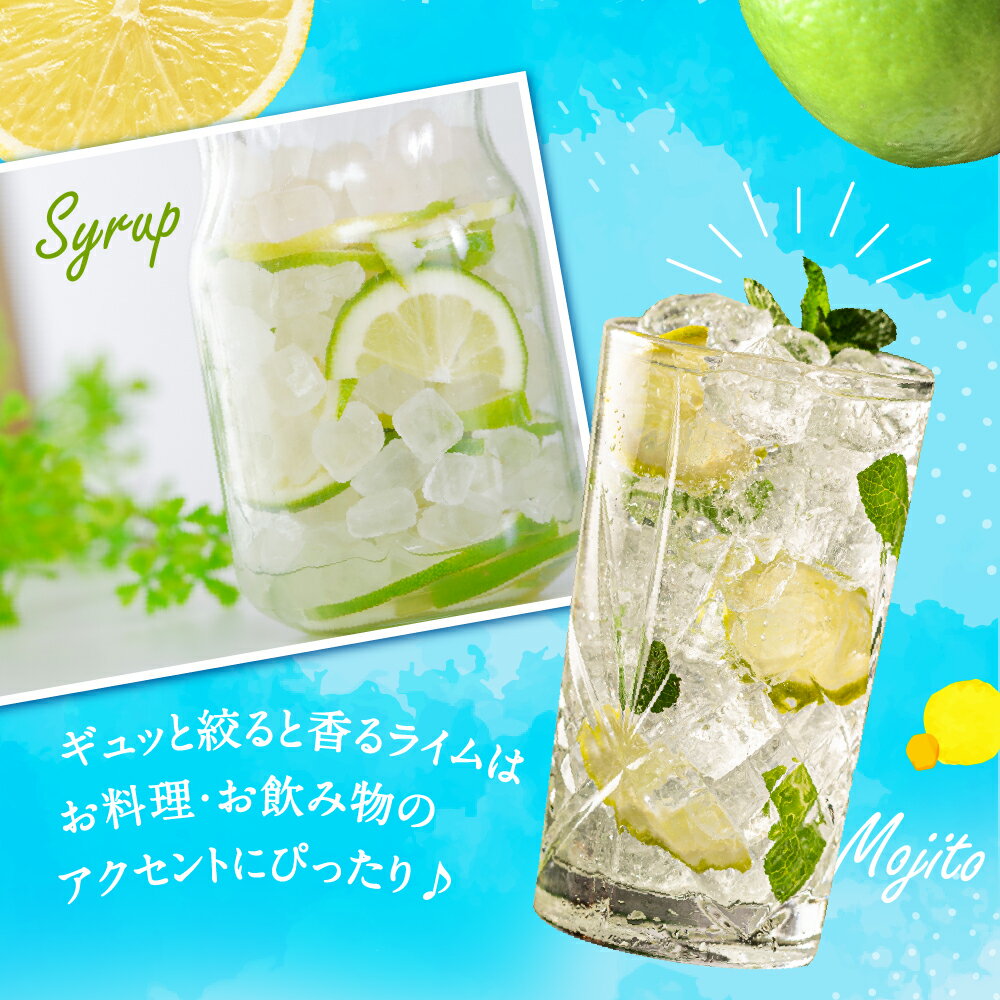 【ふるさと納税】貴重な国産ライム.約5kg.新宮町産の逸品です／2025年10月〜12月発送予定.AA206 サムネイル3