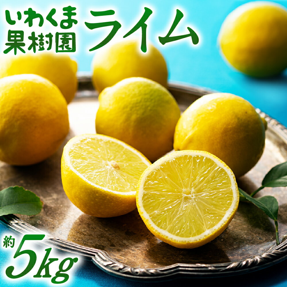 貴重な国産ライム.約5kg.新宮町産の逸品です／2025年10月〜12月発送予定.AA206