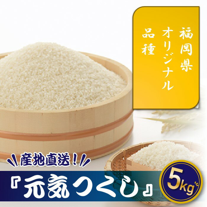 特Aも獲得した自慢のお米『元気つくし』5kg 国産 白米 精米 ご飯【元気つくし】.AE226