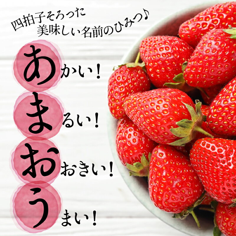 【ふるさと納税】人気No.1獲得謝礼品★限定品★あまおう約540g（先行受付．2026年1月以降発送） いちご 苺 高級 フルーツ【あまおう】 .A1381 サムネイル3