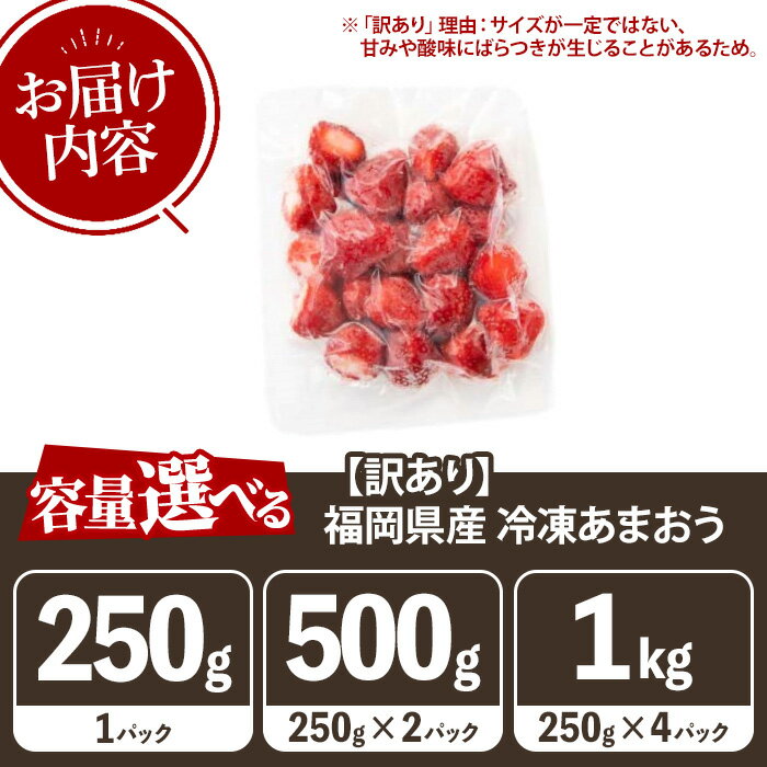 【ふるさと納税】≪容量選べる・訳あり≫福岡県産 冷凍あまおう(計250g~1kg・250g×1P/2P/4P) いちご イチゴ 苺 ストロベリー 果物 フルーツ おやつ デザート 訳アリ わけあり サイズ不揃い 規格外 250g 500g 1kg 冷凍【木村食品】 サムネイル3