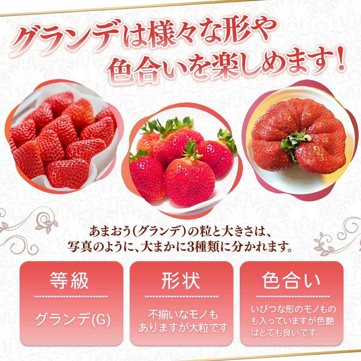 【ふるさと納税】＜先行予約受付中！2025年12月以降順次発送予定＞ ≪容量選べる≫ 福岡県産 あまおう (計500g～1kg) いちご イチゴ 苺 ストロベリー 果物 フルーツ おやつ デザート スイーツ 福岡県 小分け アマオウ 12月発送 期間限定 数量限定 冷蔵【エフビーネット】 サムネイル2