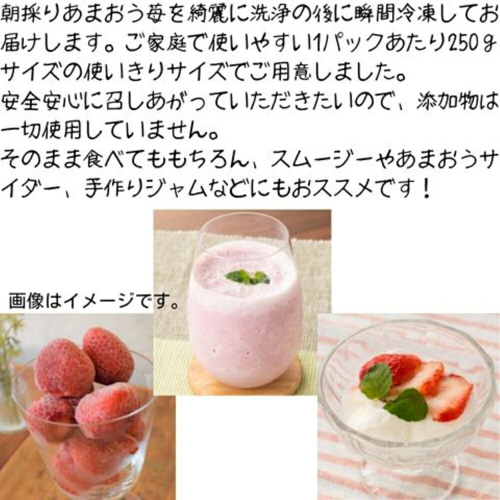 【ふるさと納税】≪容量選べる・訳あり≫福岡県産 冷凍あまおう(計250g~1kg・250g×1P/2P/4P) いちご イチゴ 苺 ストロベリー 果物 フルーツ おやつ デザート 訳アリ わけあり サイズ不揃い 規格外 250g 500g 1kg 冷凍【木村食品】 サムネイル2
