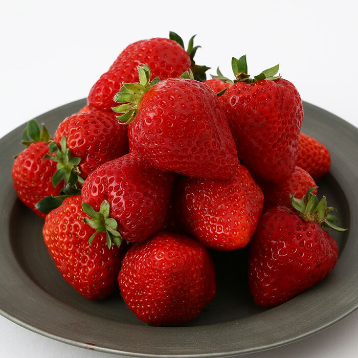 【ふるさと納税】＜先行予約受付中！2026年2月上旬より順次発送予定＞福岡県産 あまおう (計1kg・250g×4P) いちご イチゴ 苺 ストロベリー 果物 フルーツ おやつ デザート 1000g 4パック 冷蔵【錦屋商事】 サムネイル3