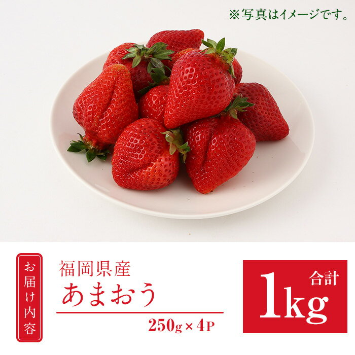 【ふるさと納税】＜先行予約受付中！2026年2月上旬より順次発送予定＞福岡県産 あまおう (計1kg・250g×4P) いちご イチゴ 苺 ストロベリー 果物 フルーツ おやつ デザート 1000g 4パック 冷蔵【錦屋商事】 サムネイル2