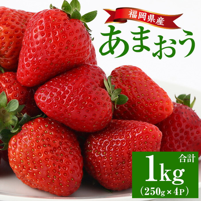 ＜先行予約受付中！2026年2月上旬より順次発送予定＞福岡県産 あまおう (計1kg・250g×4P) いちご イチゴ 苺 ストロベリー 果物 フルーツ おやつ デザート 1000g 4パック 冷蔵【錦屋商事】