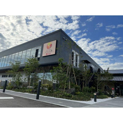 天然温泉入浴回数券【7回分】【1339697】