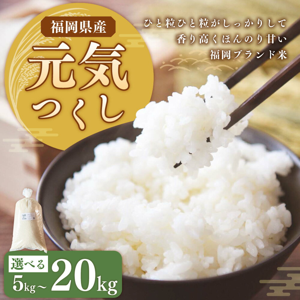 【ふるさと納税】【令和7年産】福岡県ブランド米「元気つくし」5kg/10kg/15kg/20kg ＜選べる内容量＞ 先行予約 コメ 米 お米 白米 精米 ご飯 11000円 ～ 44500円 1万1000円 ～ 4万4500円 福岡県 岡垣町 送料無料 - 画像2