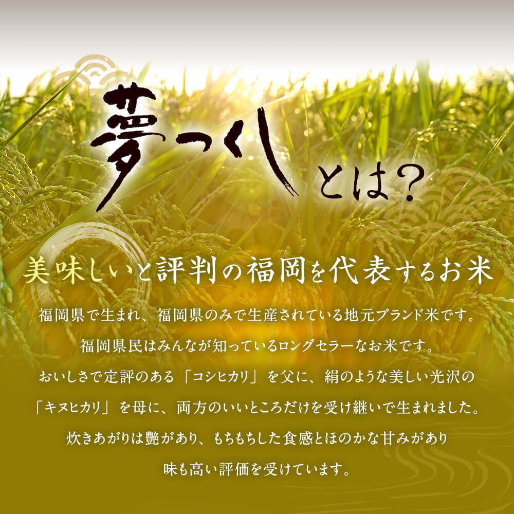 【ふるさと納税】夢つくし 玄米 PREMIUMパック 160g×24パック パックご飯 玄米パック レンジ ご飯 パックごはん 常温 ブランド米 パックライス 非常食 保存食 インスタント 福岡県産米 福岡県 岡垣町 送料無料 - 画像3