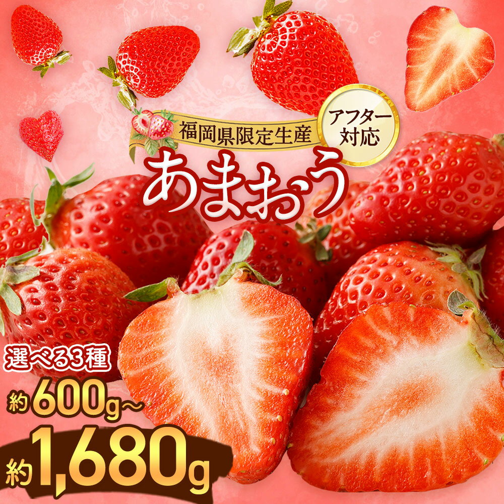 【アフター対応】＜先行予約＞ 大粒 不揃い 選べる大容量あまおう 1,400g／1,680g 数量限定あまおう 600g 特別栽培あまおう 1,200g （2L,グランデ,DX デラックス) あまおう いちご イチゴ 苺 【2026年1月上旬～3月下旬発送予定】