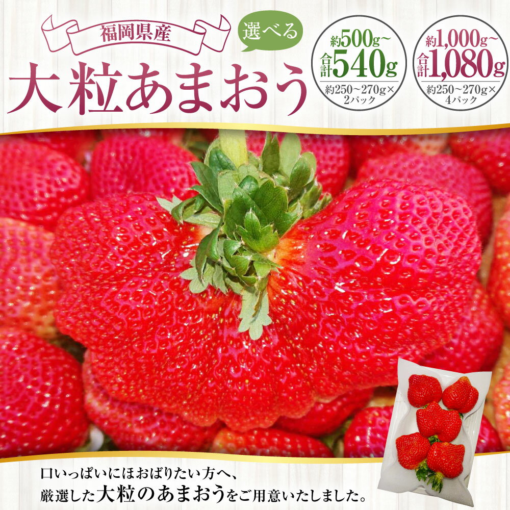 【ふるさと納税】＜選べる容量＞ 大粒あまおう 約250-270g 2パック 4パック 合計約500-540g 約1,000-1,080g あまおう いちご イチゴ 苺 大粒 ストロベリー ベリー フルーツ 果物 旬 冷蔵 送料無料【2026年2月上旬～4月上旬発送予定】 サムネイル2