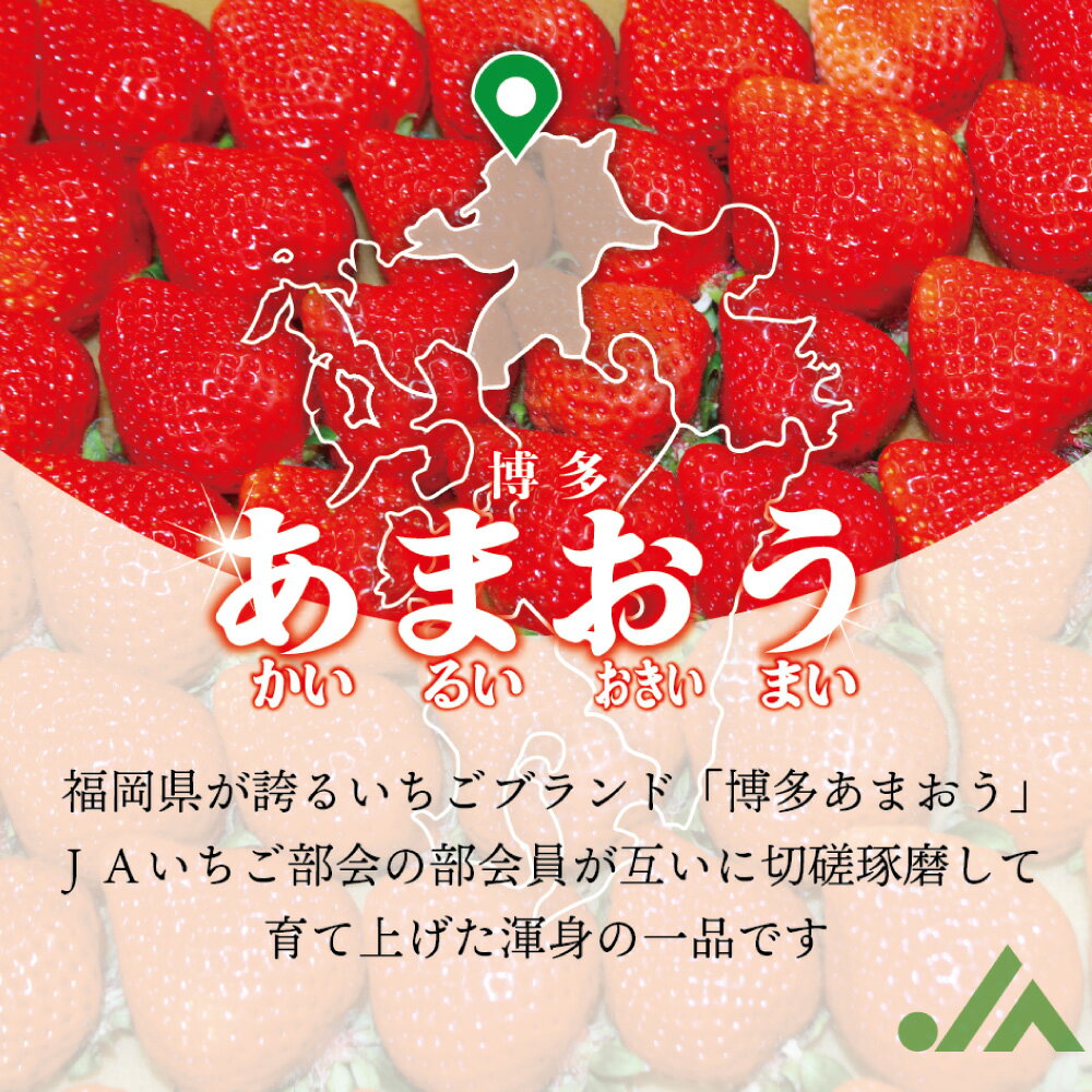【ふるさと納税】＜選べる容量＞博多あまおう（春）250g～270g×2パック／4パック／6パック あまおう いちご イチゴ 苺 フルーツ 果物 くだもの 冷蔵 博多 福岡県 岡垣町 送料無料 【2026年2月上旬～4月下旬発送予定】 サムネイル3