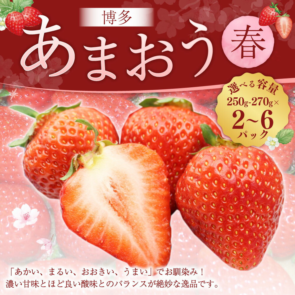【ふるさと納税】＜選べる容量＞博多あまおう（春）250g～270g×2パック／4パック／6パック あまおう いちご イチゴ 苺 フルーツ 果物 くだもの 冷蔵 博多 福岡県 岡垣町 送料無料 【2026年2月上旬～4月下旬発送予定】 サムネイル2