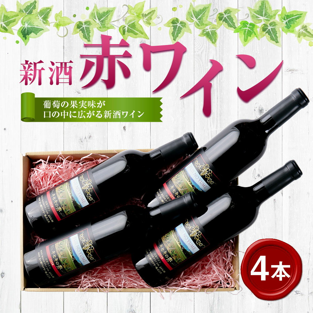 【ふるさと納税】新酒ワイン(赤)×4本 合計3L(750ml×4本) ワイン 赤 赤ワイン セット 家飲み お酒 アルコール 飲料 国産 九州産 福岡県産 夢のワイナリー落成記念♪ 送料無料 サムネイル2