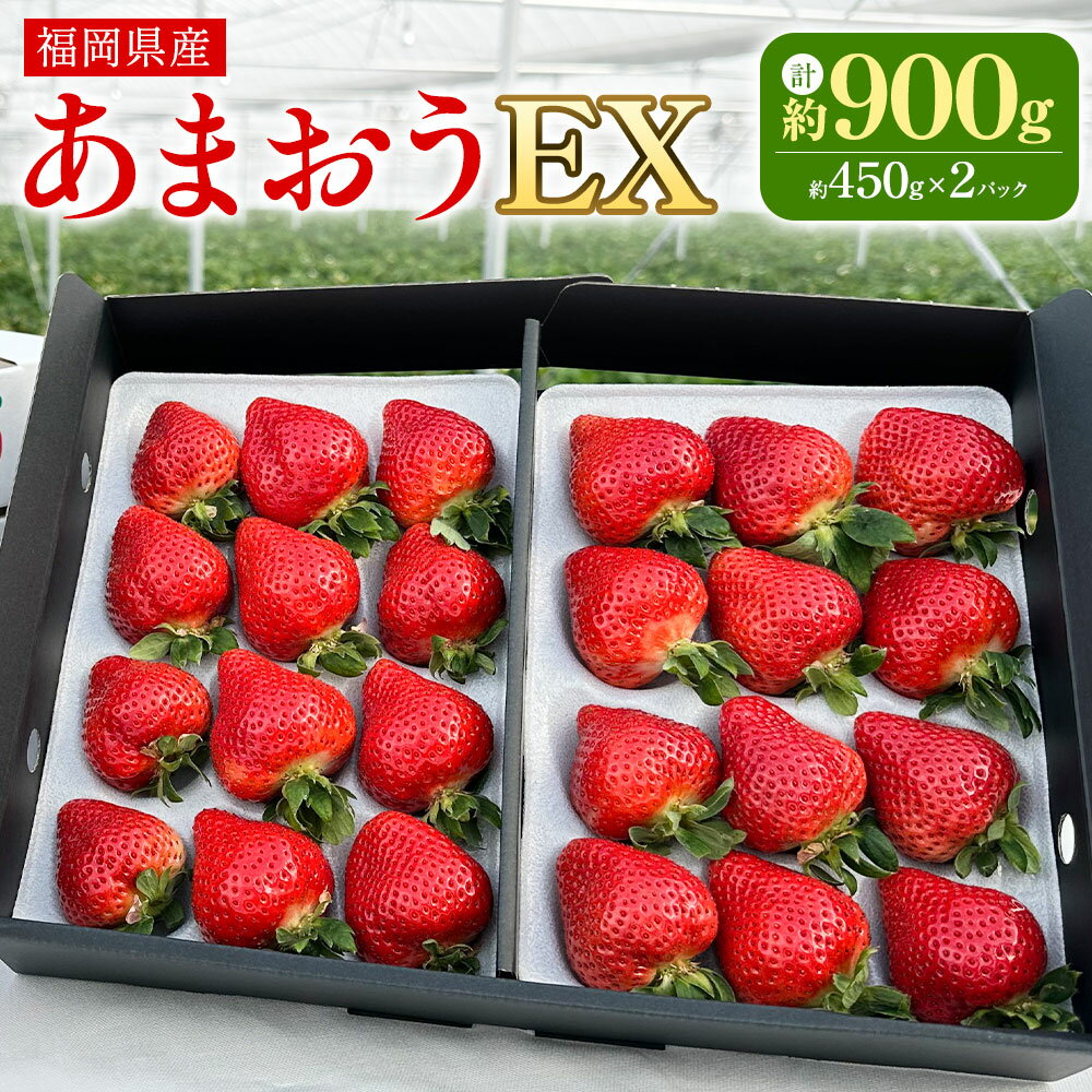 ギフト配送 福岡県産あまおう EX 約450g×2パック〈特別栽培〉 あまおう いちご イチゴ 苺 フルーツ 果物 国産 九州産 福岡県 冷蔵 ブランド エコファーマー認定農家 GAP認定 送料無料 【2026年1月上旬～3月下旬発送予定】
