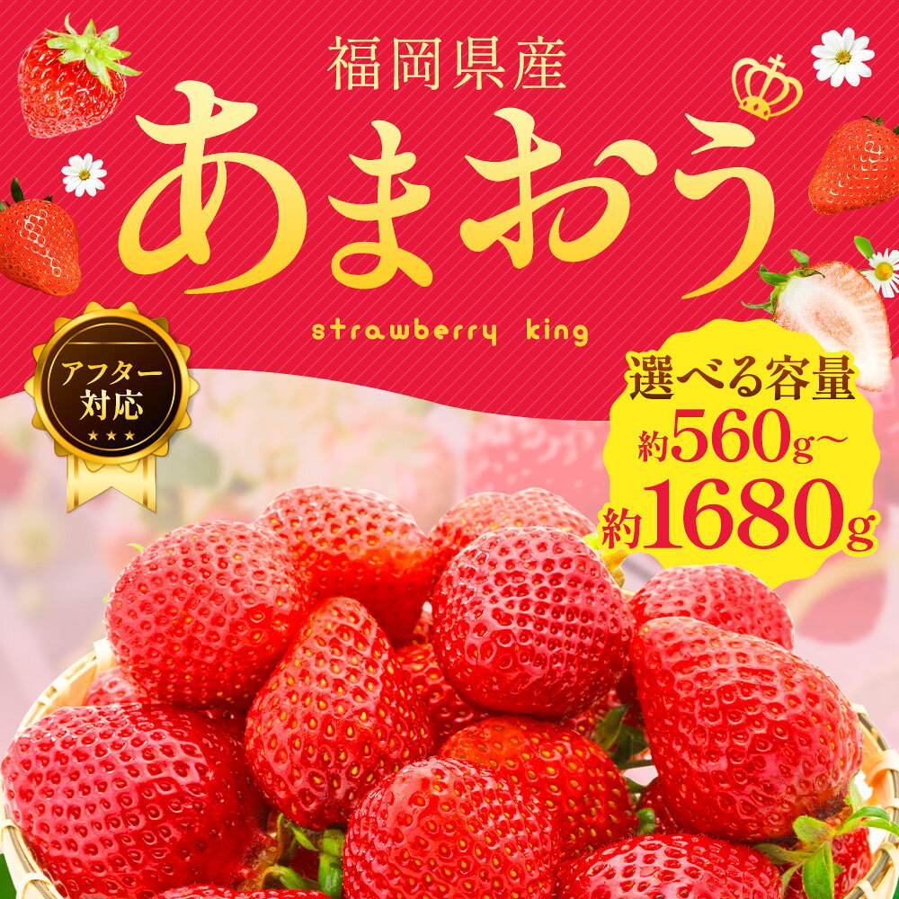 【ふるさと納税】【アフター対応】あまおう 〈選べる〉 約560g または 約1680g 1パックあたり約280g 2パック 6パック 6000円 〜 12000円 6000円 〜 1万2000円 いちご イチゴ 苺 フルーツ 果物 国産 九州 福岡県産 冷蔵 GAP認定 送料無料 【2026年1月上旬～3月下旬発送予定】 サムネイル2