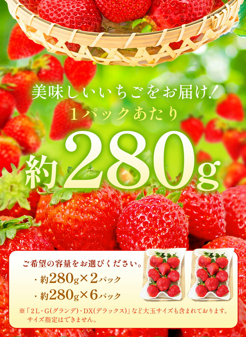 【ふるさと納税】【アフター対応】あまおう 〈選べる〉 約560g または 約1680g 1パックあたり約280g 2パック 6パック 6000円 〜 12000円 6000円 〜 1万2000円 いちご イチゴ 苺 フルーツ 果物 国産 九州 福岡県産 冷蔵 GAP認定 送料無料 【2026年1月上旬～3月下旬発送予定】 サムネイル3