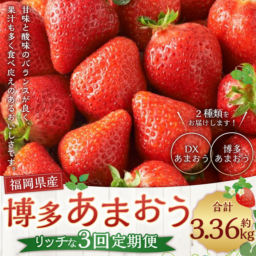 【ふるさと納税】博多 あまおう リッチな 3回 定期便 計3.36kg 計12パック あまおう いちご イチゴ 苺 ベリー 果物 くだもの フルーツ デザート おやつ お取り寄せ 冷蔵 国産 九州 福岡県 送料無料【2025年12月上旬～2026年2月下旬発送予定】 サムネイル2