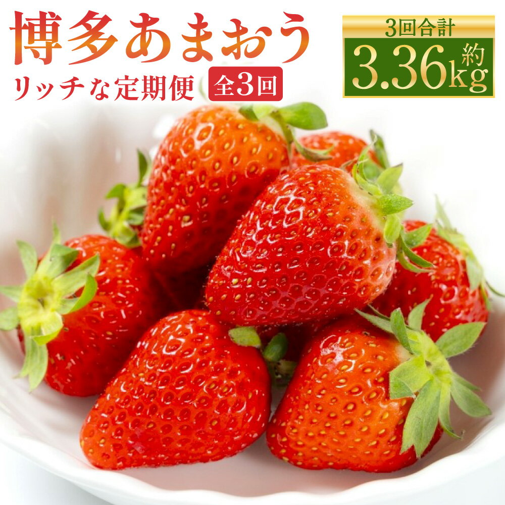 博多 あまおう リッチな 3回 定期便 計3.36kg 計12パック あまおう いちご イチゴ 苺 ベリー 果物 くだもの フルーツ デザート おやつ お取り寄せ 冷蔵 国産 九州 福岡県 送料無料【2025年12月上旬～2026年2月下旬発送予定】