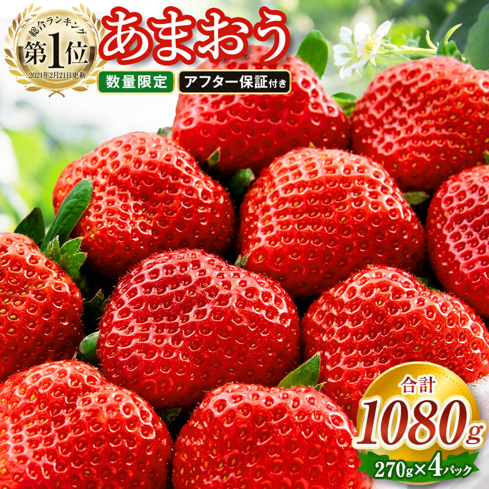 【数量限定/特別寄附額】福岡県産 あまおう 合計1080g 270g×4パック アフター保証 8500円 〜 9000円 対応 いちご 苺 イチゴ フルーツ 果物 春 旬 福岡県産 九州 国産 送料無料 【2026年2月上旬～4月下旬/2026年3月下旬～4月下旬順次発送予定】