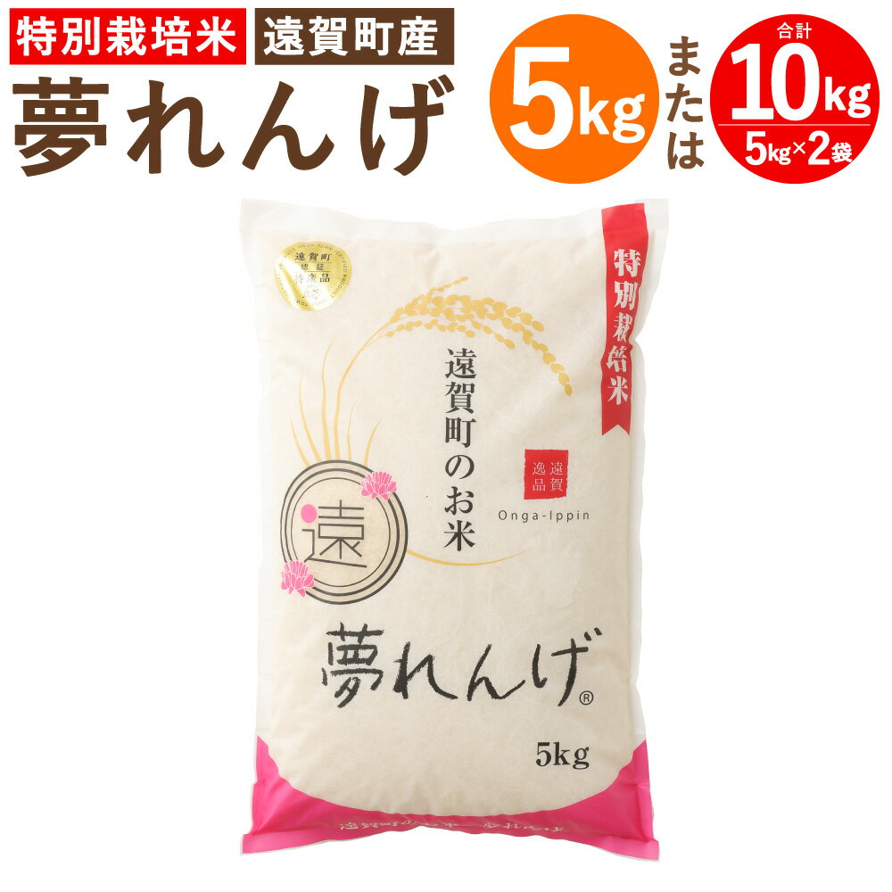 【令和7年産】特別栽培米 夢れんげ 〈選べる〉 5kg または 10kg 1袋あたり5kg 1袋 2袋 夢つくし 元気つくし 精米 白米 お米 米 ごはん ご飯 福岡 遠賀町産 九州産 国産 送料無料