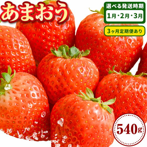【配送不可地域あり】2026年 先行予約 いちご あまおう いちご 大量 540g 選べる発送時期 定期便 フルーツ《出荷時期をお選びください》苺 旬 くだもの 果物 福岡県 小竹町