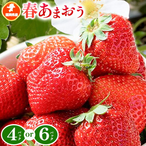 福岡県産 春あまおう 4パック 6パック 南国フルーツ株式会社《2月上旬-3月末頃出荷》福岡県 小竹町 あまおう いちご イチゴ 送料無料【配送不可地域あり】