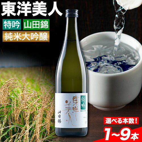 日本酒 新酒 東洋美人 特吟 山田錦 純米大吟醸 選べる内容量 1~9本 1本あたり 720ml 福岡吟醸倶楽部株式会社《30日以内に出荷予定(土日祝除く)》福岡県 鞍手郡 鞍手町 酒 冷酒 送料無料