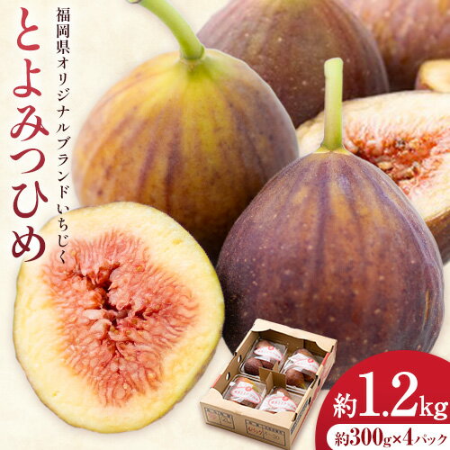 【26年度出荷】いちじく 無花果 とよみつひめ 約1.2kg 約300g × 4パック 南国フルーツ株式会社《8月上旬-10月中頃出荷》福岡県 鞍手町 福岡県産 いちじく フルーツ 果物