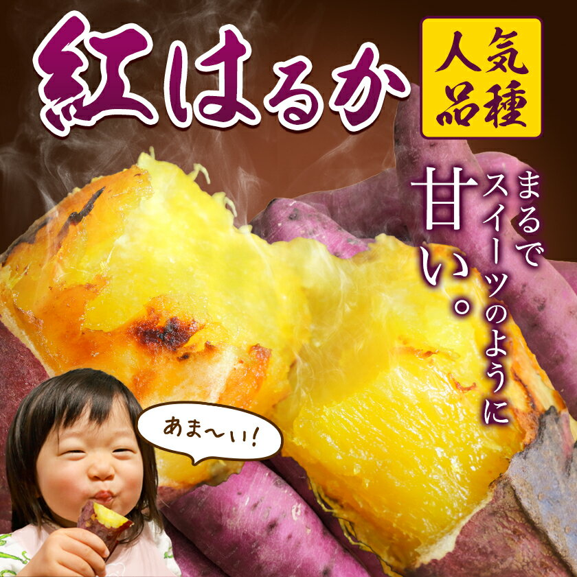 【ふるさと納税】【先行予約】紅はるか 芋 厳選 紅はるか 選べる 3kg 5kg しょうた農園《12月上旬-3月末頃出荷》福岡県 鞍手町 紅はるか さつまいも 芋 いも イモ サツマイモ サムネイル2