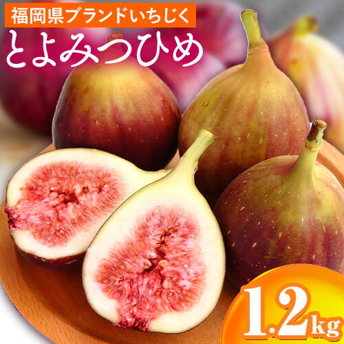 ☆2026年出荷☆いちじく 福岡県産 ブランド いちじく とよみつひめ 約1.2kg (約300g×4パック) 【配送不可地域あり】【日付指定不可】 《8月中旬-9月末頃出荷予定》 福岡県 鞍手町 いちじく イチジク 果物 フルーツ 送料無料
