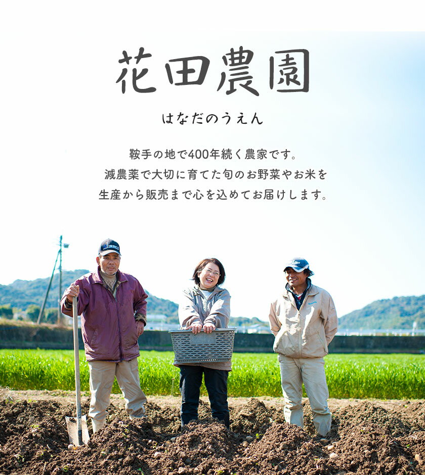 【ふるさと納税】ドレッシング3種とケチャップ＆パスタ用調味料 5種セット 花田農園 《30日以内に順次出荷(土日祝除く)》ドレッシング だいこん 大根 たまねぎ 玉ねぎ とまと トマト 野菜 国産 無添加 ケチャップ パスタ用調味料 送料無料 サムネイル3