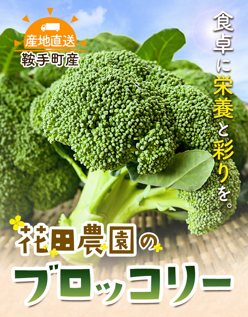 【ふるさと納税】ブロッコリー 花田農園 の ブロッコリー 選べる 10個 20個 花田農園 《11月下旬-3月末頃出荷》福岡県 鞍手町 ぶろっこりー 野菜 ブロッコリー 産地直送 送料無料 - 画像2