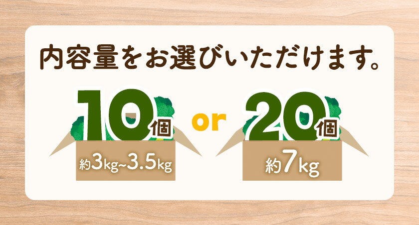 【ふるさと納税】ブロッコリー 花田農園 の ブロッコリー 選べる 10個 20個 花田農園 《11月下旬-3月末頃出荷》福岡県 鞍手町 ぶろっこりー 野菜 ブロッコリー 産地直送 送料無料 - 画像3