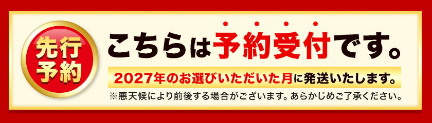【ふるさと納税】★2027出荷★ いちご あまおう いちご 福岡 苺 【先行予約】フルーツ 苺 旬 不揃い 【着日指定不可】《2027年2月中旬-3月中旬頃出荷》果物 いちご 福岡名産品 あまおう ふるさと納税 果物 ふるさと納税 くだもの ふるさと納税 フルーツ - 画像2