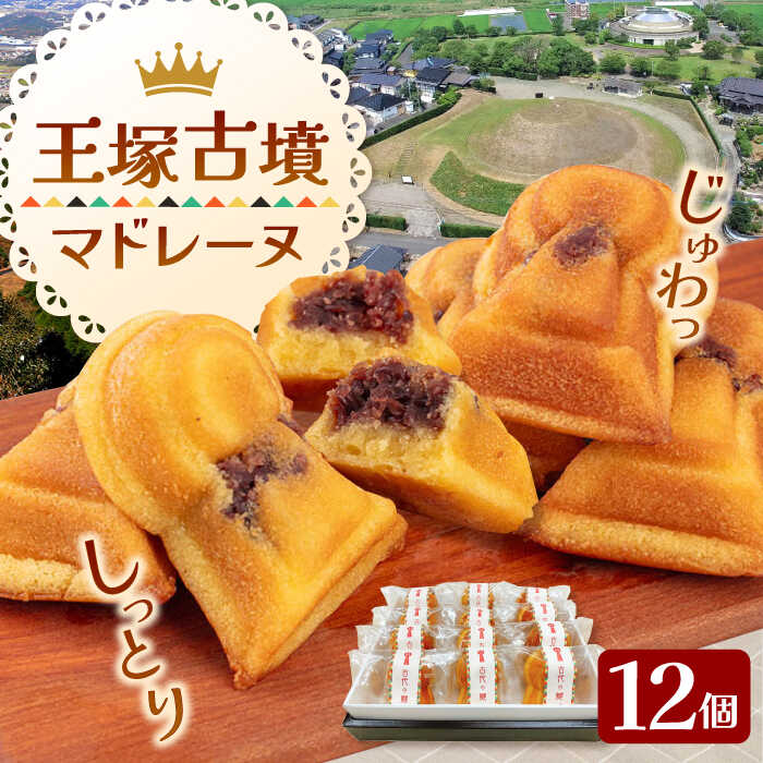 王塚古墳 マドレーヌ （12個入り） ▼ 内祝い お返し お祝い プレゼント お菓子 おかし 菓子 詰め合わせ ギフト スイーツ お土産 手土産 個包装 福岡 お取り寄せ バター あんこ しっとり 桂川町/菓子工房メルシー[ADAJ001] 10000円 以上 1万円 以上