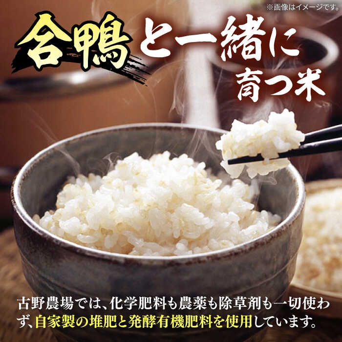 【ふるさと納税】【選べる内容量】古野農場の合鴨農法で作った合鴨米（ 玄米 ）3kg / 6kg ▼ 福岡産 農家直送 名産品 合鴨農法 玄米 桂川町/合鴨家族 古野農場[ADAL001] 15000 以上 15000円 以上 1万円 以上 - 画像2