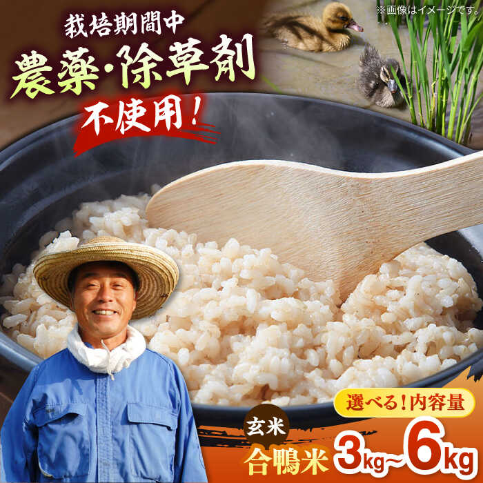 【選べる内容量】古野農場の合鴨農法で作った合鴨米（ 玄米 ）3kg / 6kg ▼ 福岡産 農家直送 名産品 合鴨農法 玄米 桂川町/合鴨家族 古野農場[ADAL001] 15000 以上 15000円 以上 1万円 以上