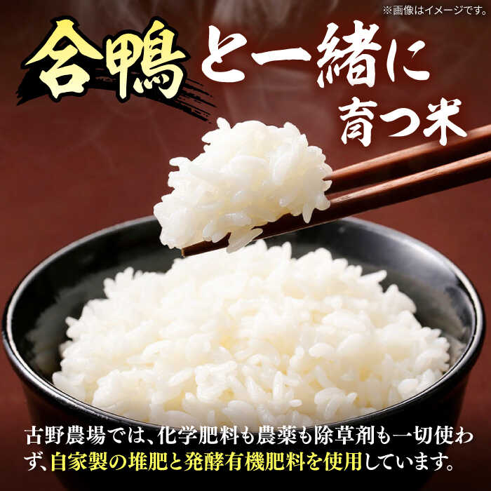 【ふるさと納税】【選べる容量】古野農場の合鴨農法で作った 合鴨米（白米） 3kg / 6kg ▼無農薬 福岡産 農家直送 合鴨農法 白米 精米 桂川町/合鴨家族 古野農場[ADAL002] 15000 以上 15000円 以上 1万円 以上 - 画像2